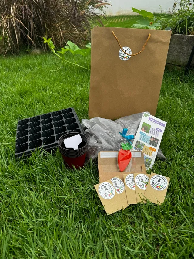 Kit de semillero + clase grabada